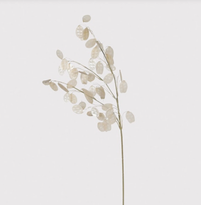 Honesty Spray Branch