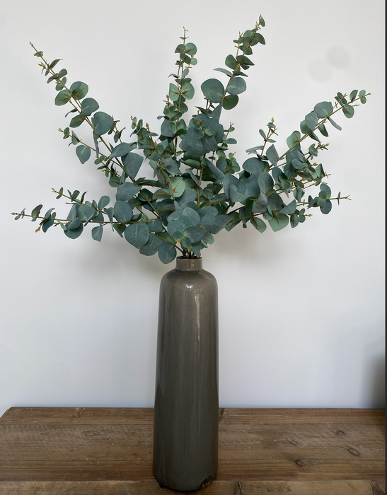 Eucalyptus