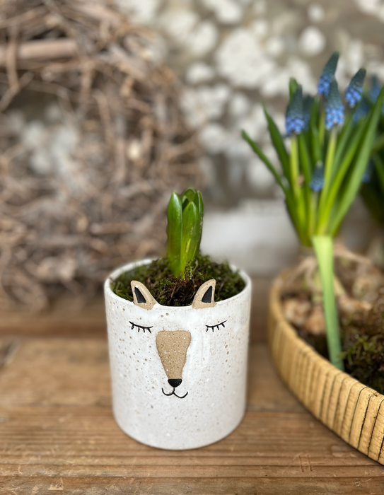 Fox Flowerpot