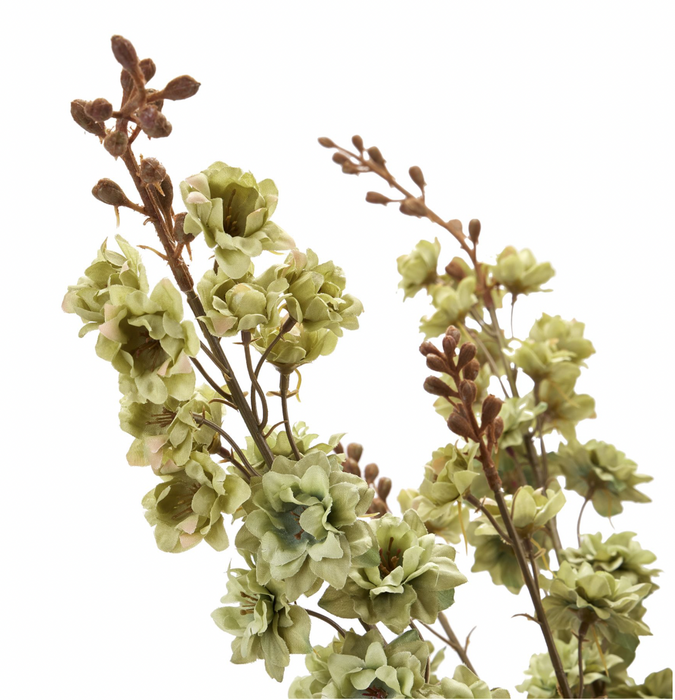 Tall Green Hops Stem