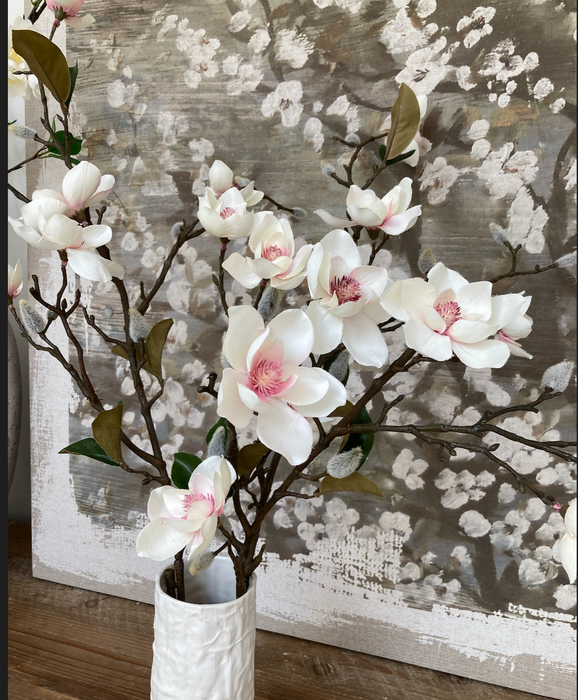 Magnolia Stems With Pink Centre