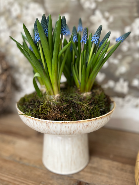 Speckled Stoneware Bowl