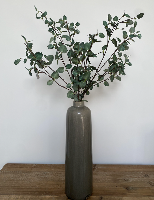 Tall Eucalyptus Stem