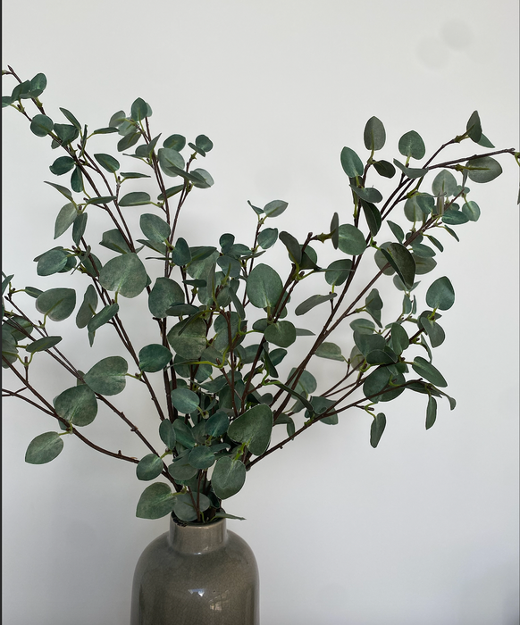 Tall Eucalyptus Stem