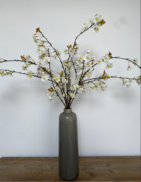 White Cherry Blossom