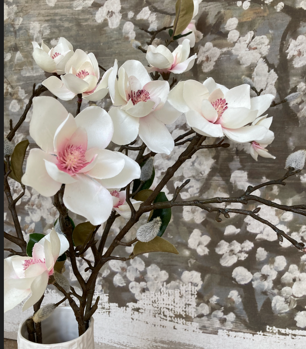 Magnolia Stems With Pink Centre
