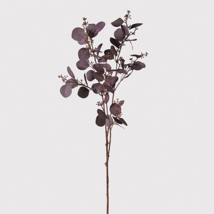 Plum Toned Eucalyptus Decor